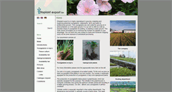 Desktop Screenshot of ditoplant.nl